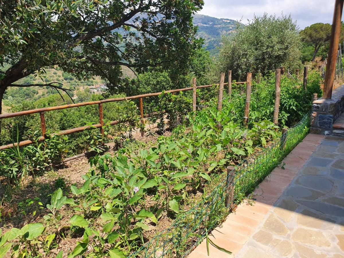 Agriturismo Le Terre Di Venere Acciaroli Exterior photo